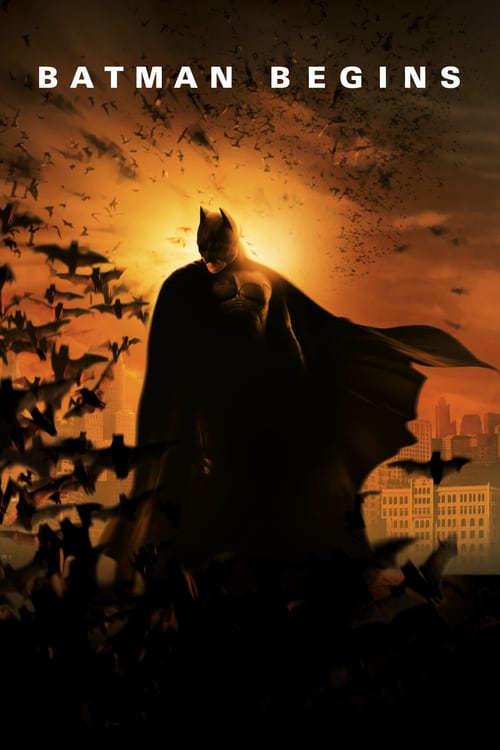 Batman Begins - VideoVip - Film Noleggio e Vendita
